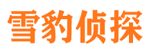 嫩江私家调查公司